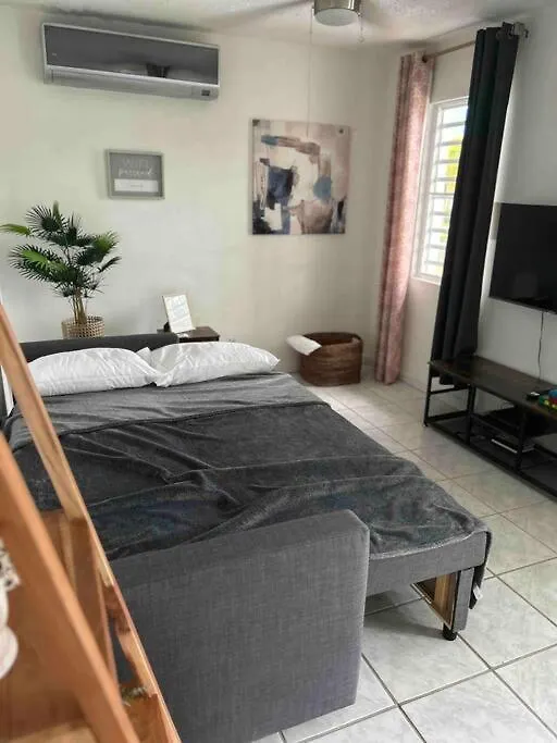 Studio21-B Centric Comfort House Apartment Bayamon 0*,